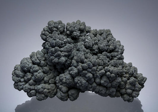 CC4971 specimen image