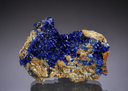 CC49718 specimen image