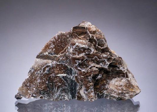 CC49734 specimen image