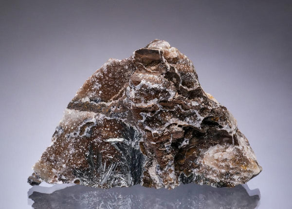 CC49734 specimen image