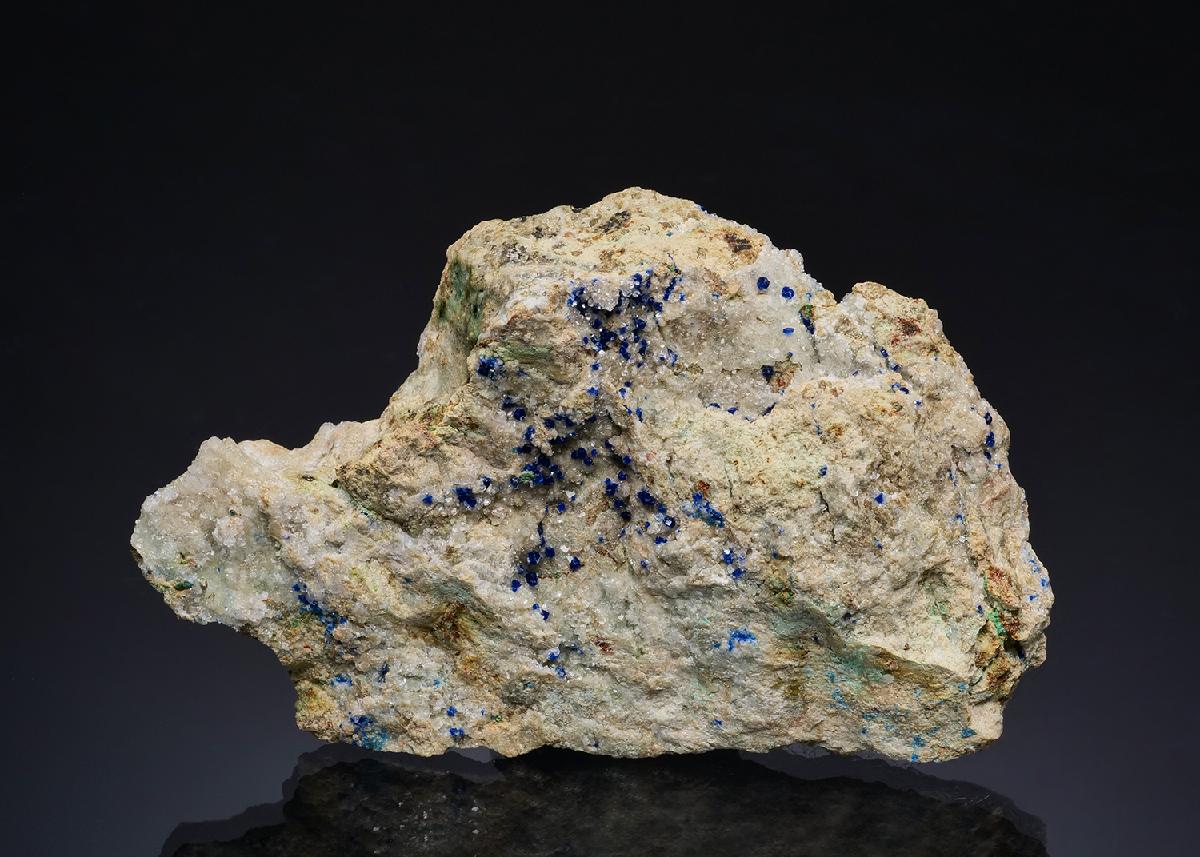 CC49742 specimen image