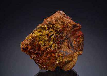 CC49756 specimen image