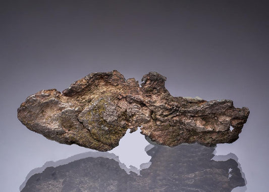 CC49812 specimen image