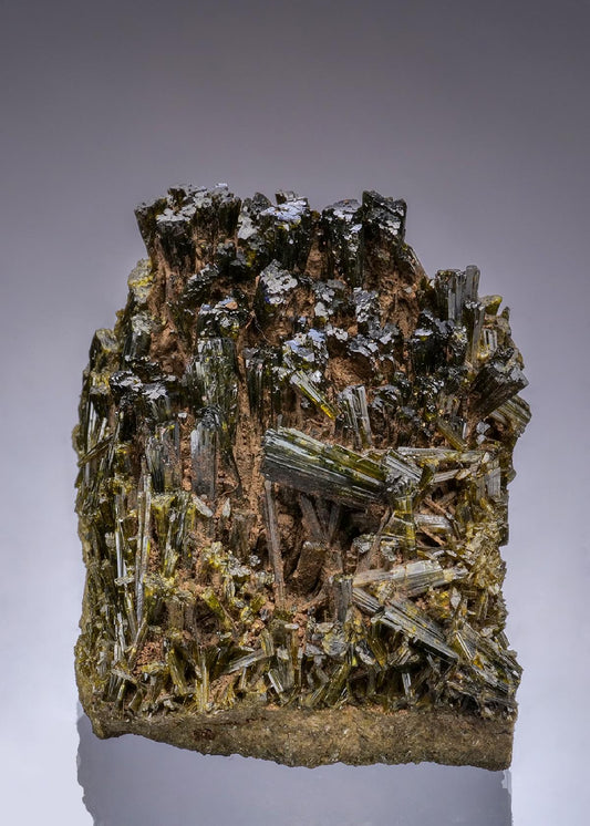 CC49834 specimen image