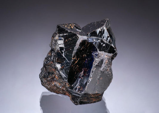 CC49844 specimen image