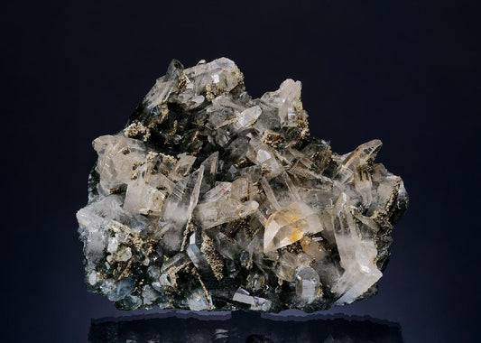 CC49852 specimen image