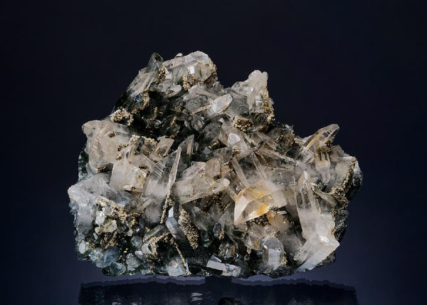CC49852 specimen image