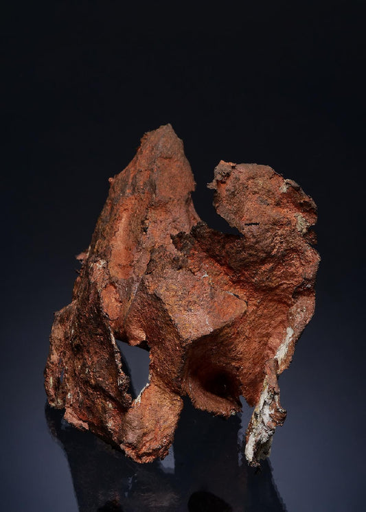 CC49856 specimen image