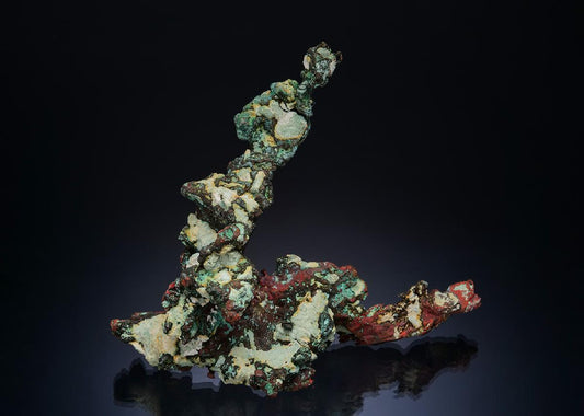CC49858 specimen image