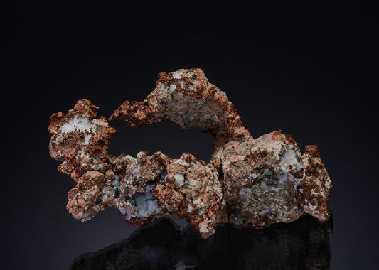 CC49878 specimen image