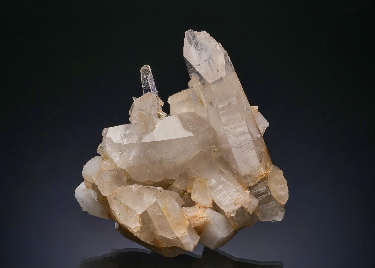 CC49882 specimen image