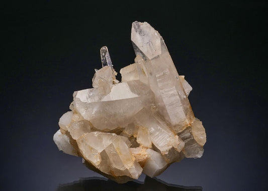 CC49882 specimen image