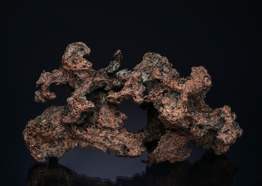 CC49900 specimen image