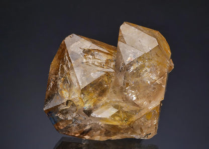 CC49920 specimen image