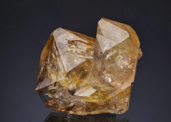 CC49920 specimen image