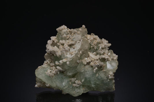 CC49960 specimen image