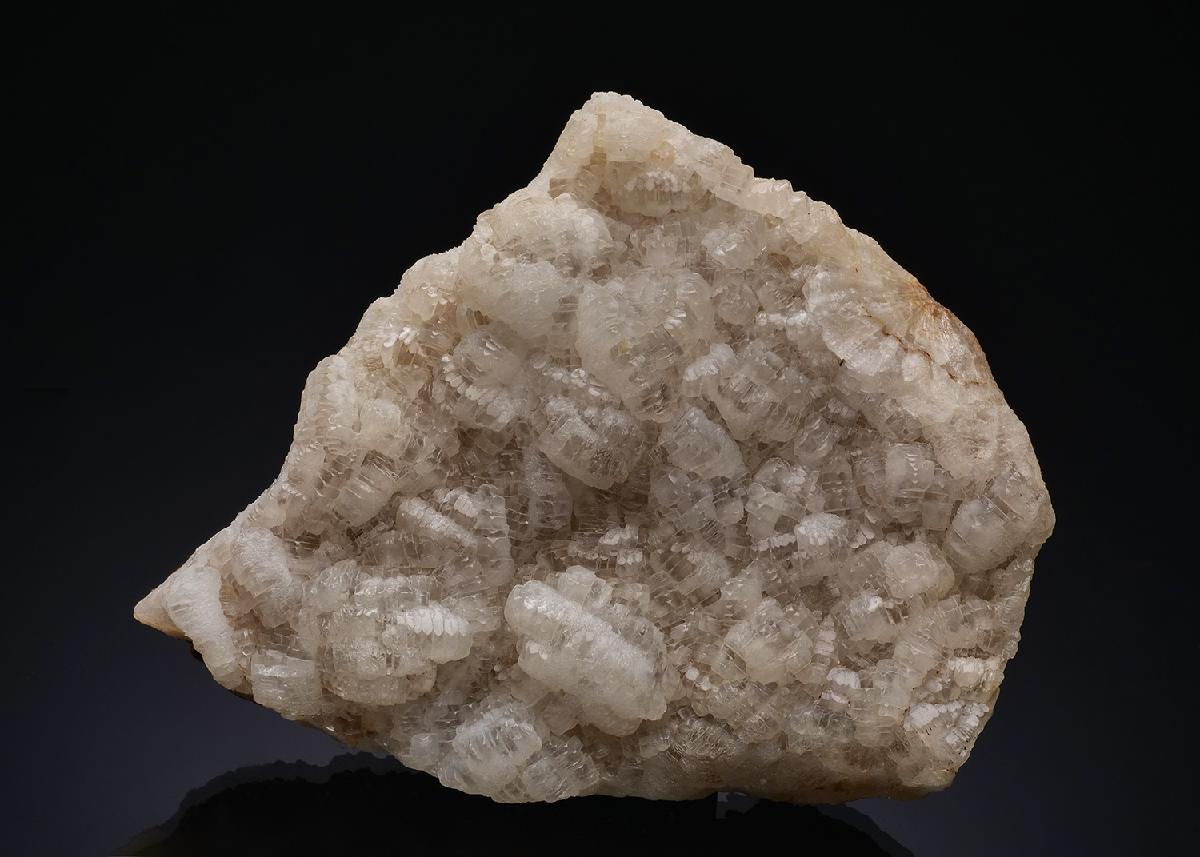 CC49964 specimen image