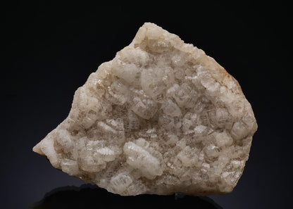 CC49964 specimen image