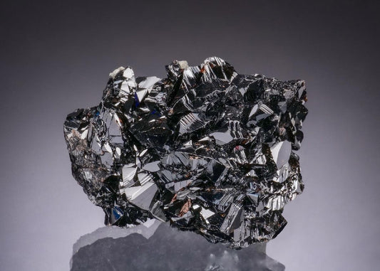 CC49974 specimen image