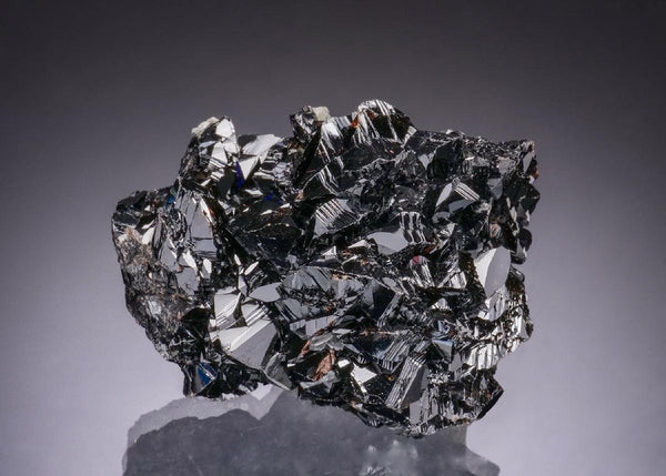 CC49974 specimen image