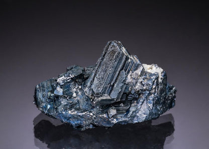 CC49988 specimen image