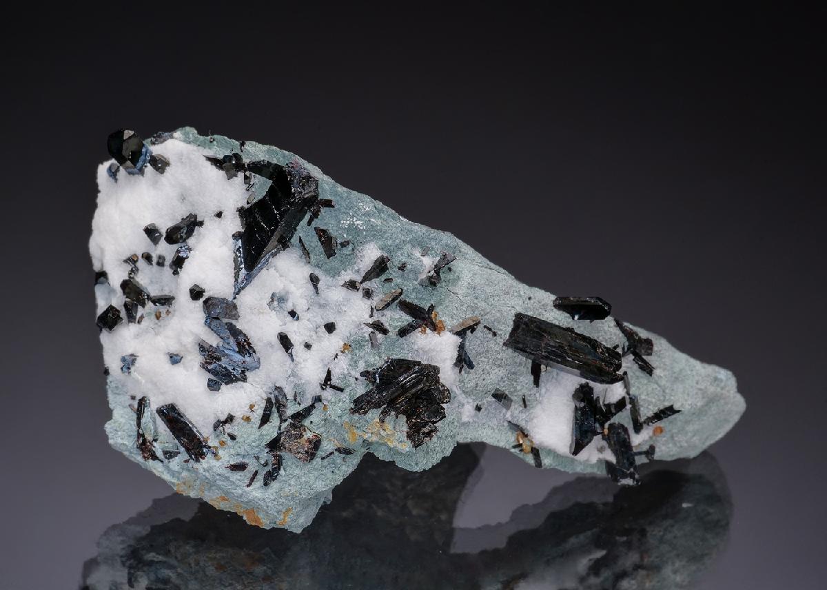CC50004 specimen image