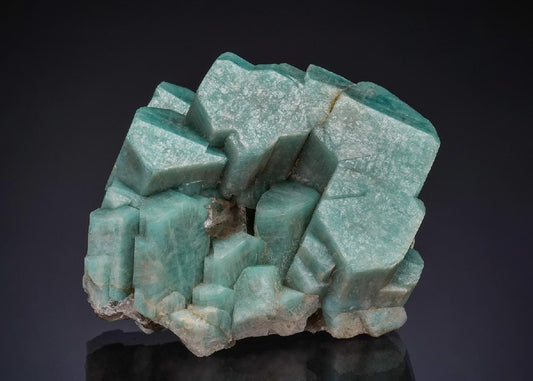CC50012 specimen image