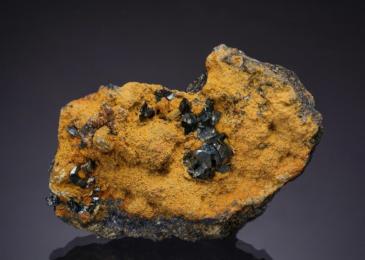 CC50022 specimen image