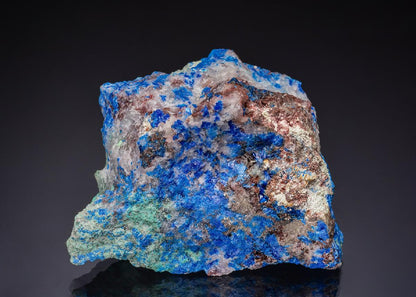 CC50024 specimen image