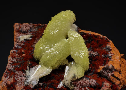 CC50030 specimen image