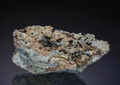 CC50032 specimen image