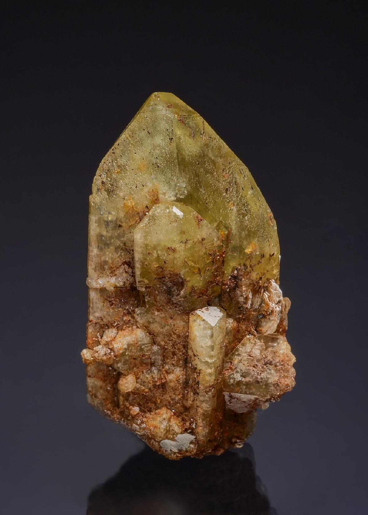 CC50080 specimen image