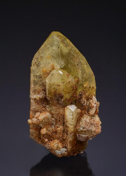 CC50080 specimen image