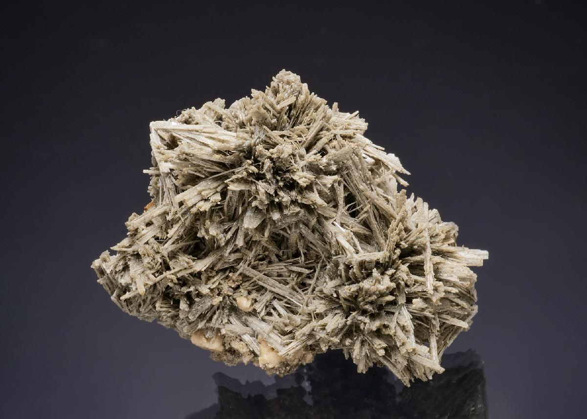 CC50082 specimen image