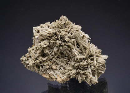 CC50082 specimen image