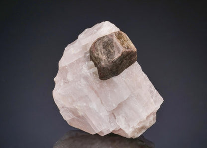 CC50116 specimen image