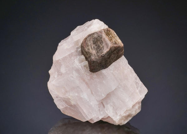 CC50116 specimen image