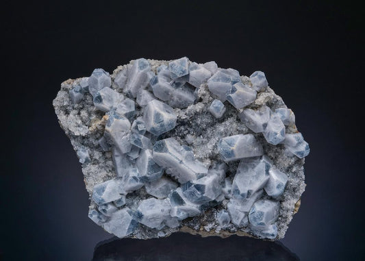 CC50132 specimen image