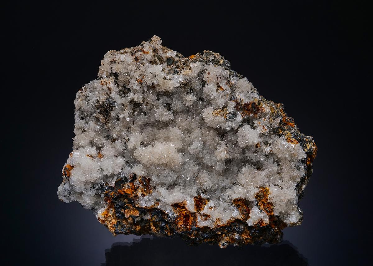 CC50134 specimen image