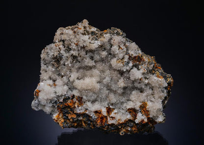 CC50134 specimen image