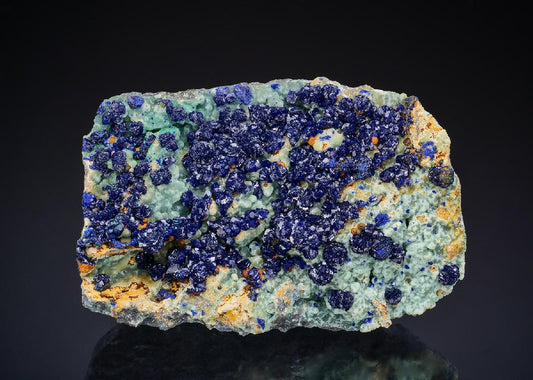 CC50164 specimen image