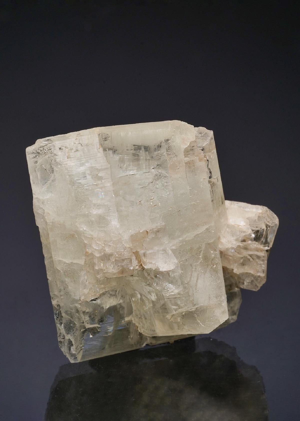 CC50168 specimen image