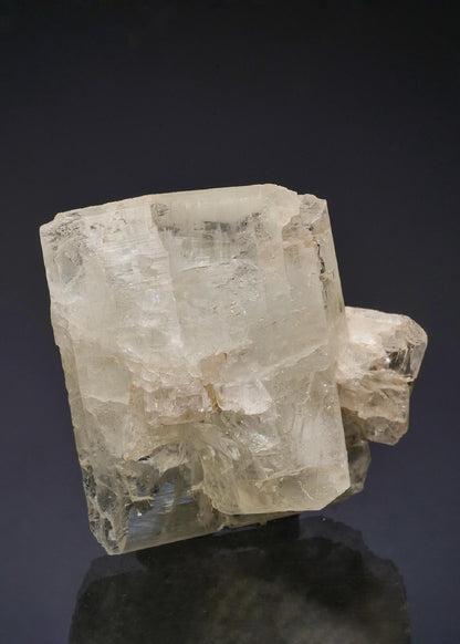 CC50168 specimen image