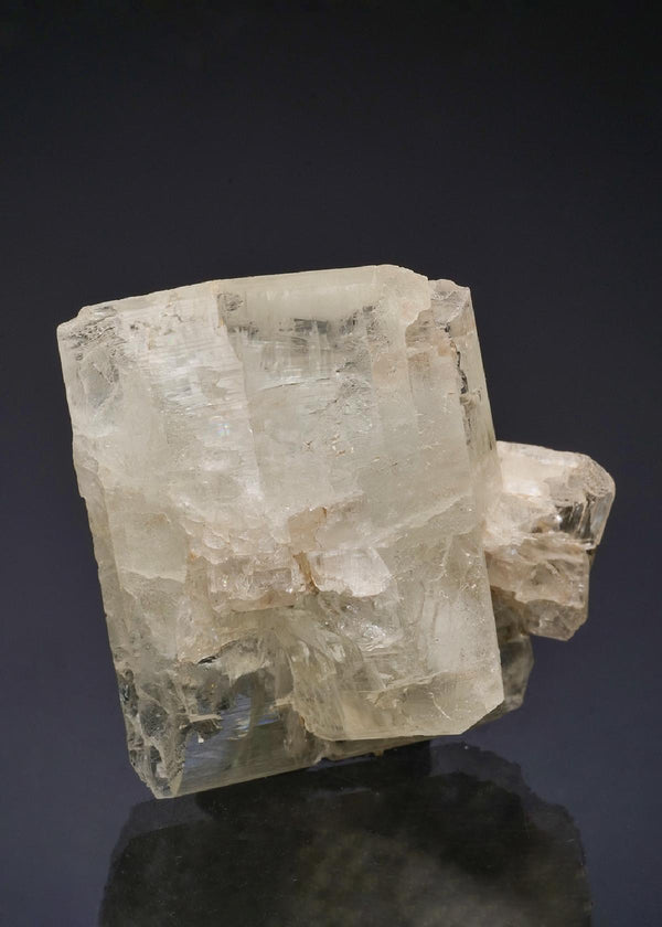 CC50168 specimen image