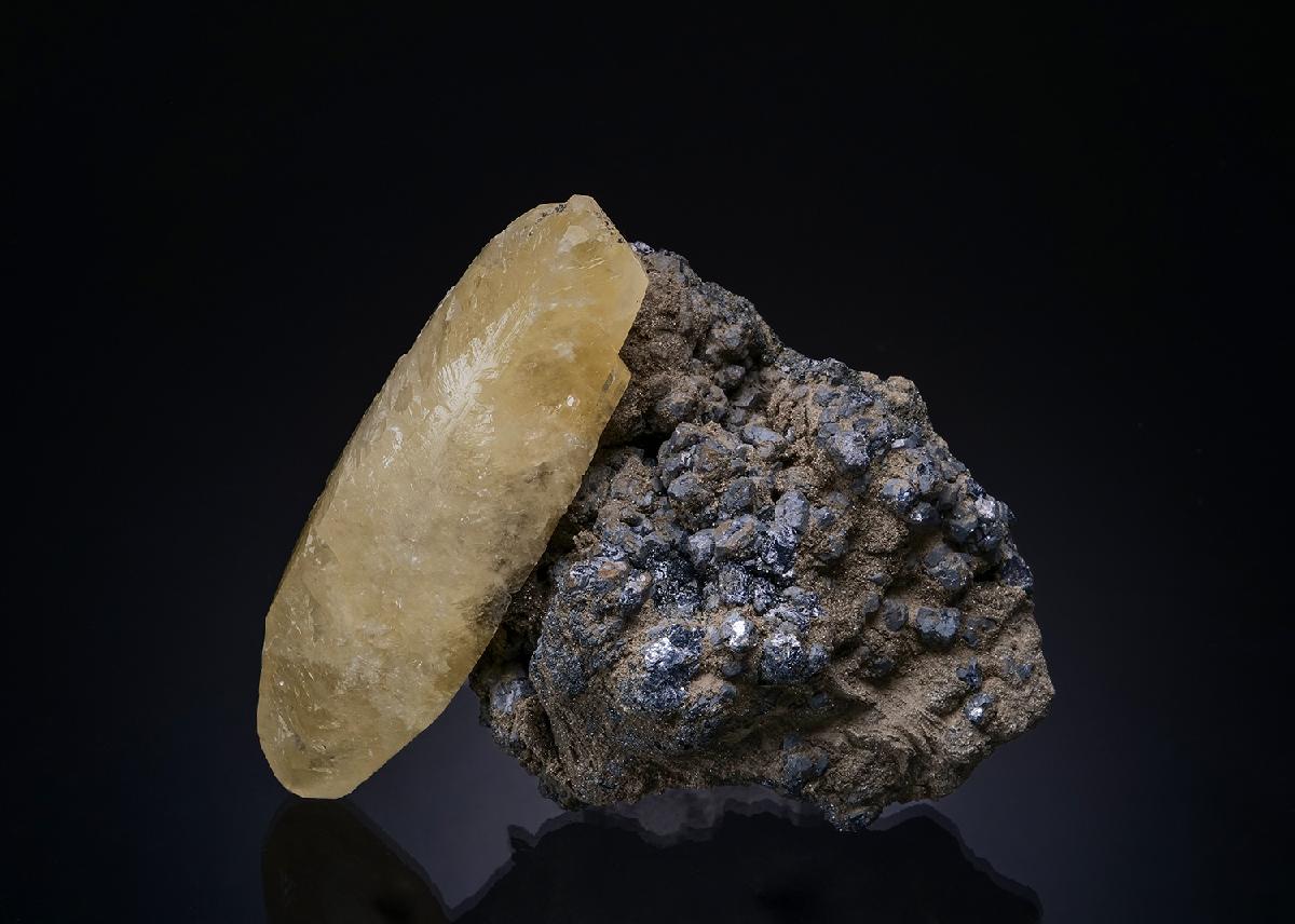 CC50174 specimen image