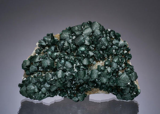 CC50200 specimen image