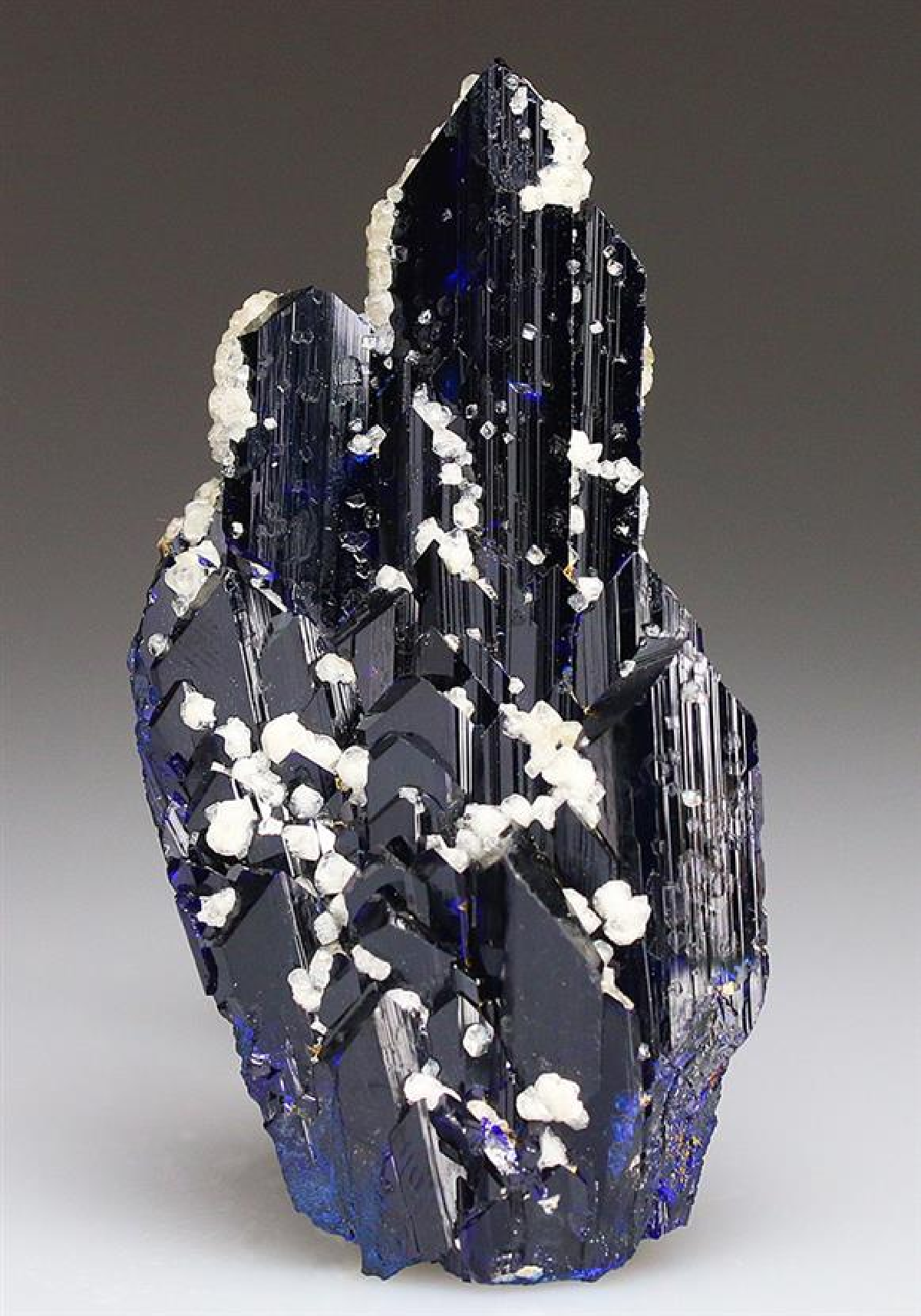 CC5022 specimen image