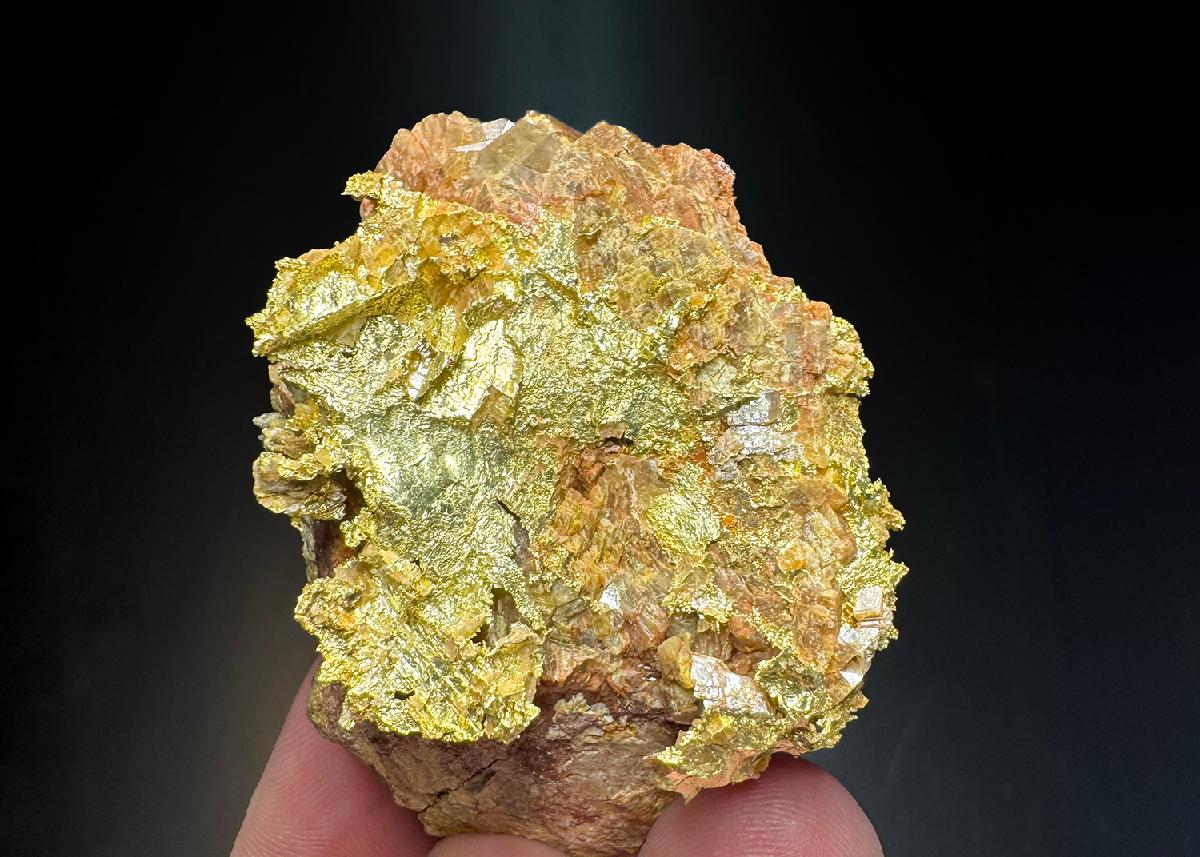 CC50226 specimen image