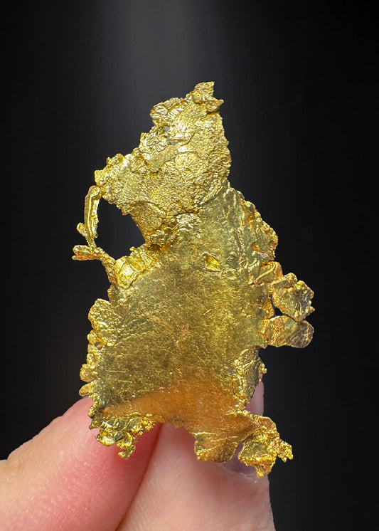 CC50276 specimen image