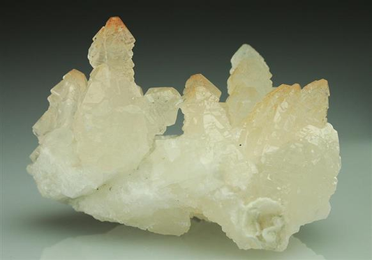 CC5035 specimen image